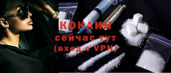 стаф Абинск