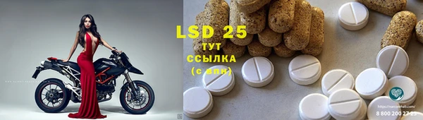 стаф Абинск