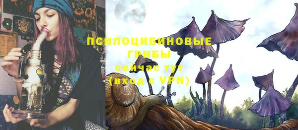стаф Абинск