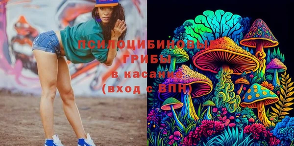 стаф Абинск