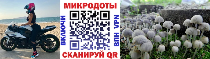 Псилоцибиновые грибы Magic Shrooms  где можно купить наркотик  Дрезна 