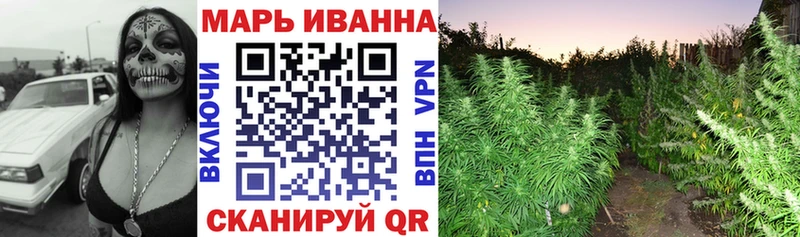 Шишки марихуана сатива  Дрезна 